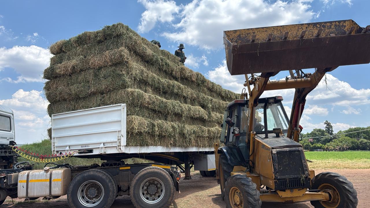 Front-end loader stacking bales onto a truck